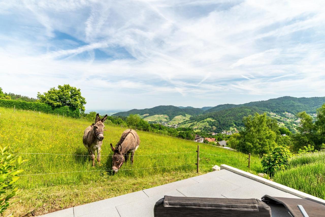 Merzel'S Schone Aussicht Bühlertal Eksteriør billede