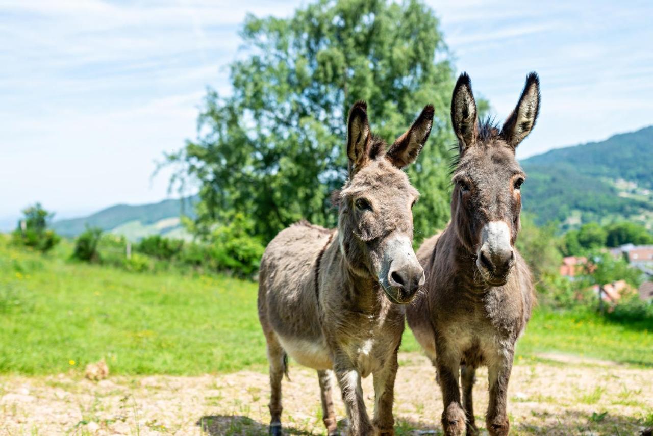 Merzel'S Schone Aussicht Bühlertal Eksteriør billede