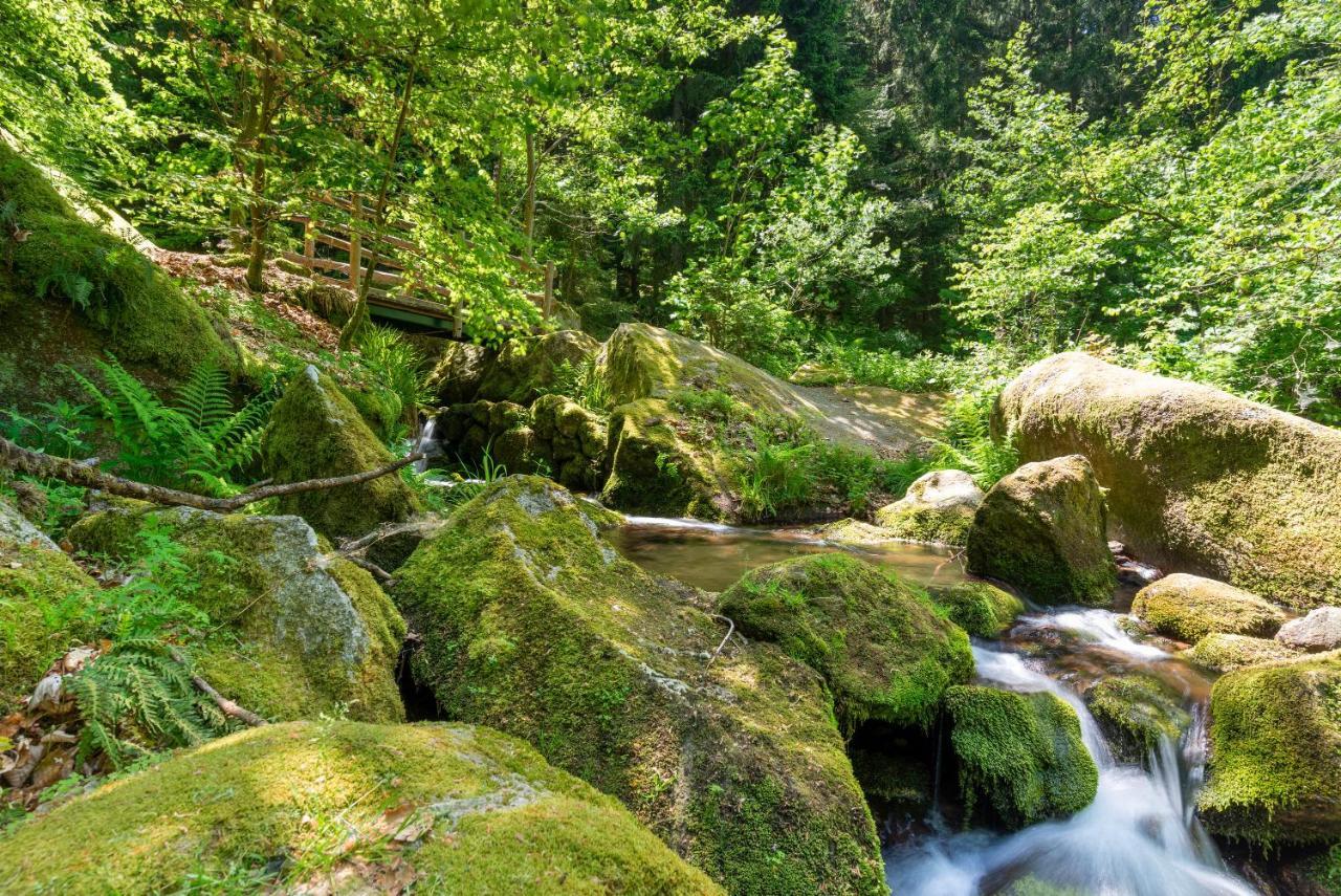 Merzel'S Schone Aussicht Bühlertal Eksteriør billede